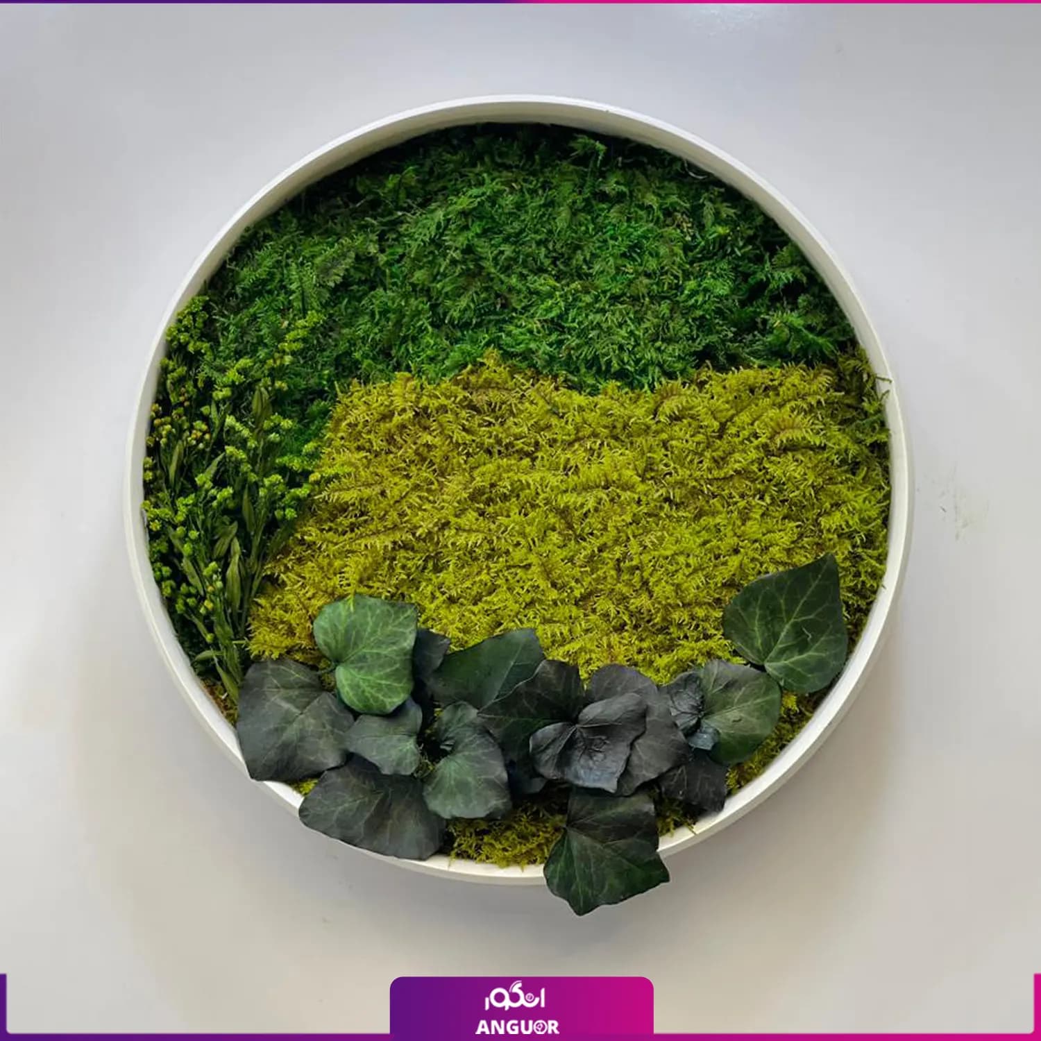 ماس وال گرد 3 رنگ — تصویر ۲