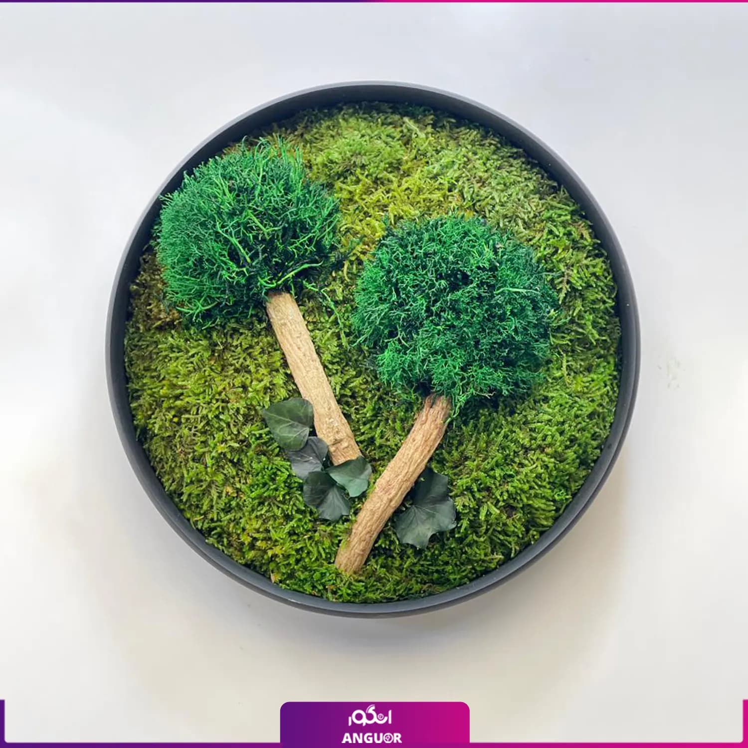 ماس وال گرد به همراه دو درختچه