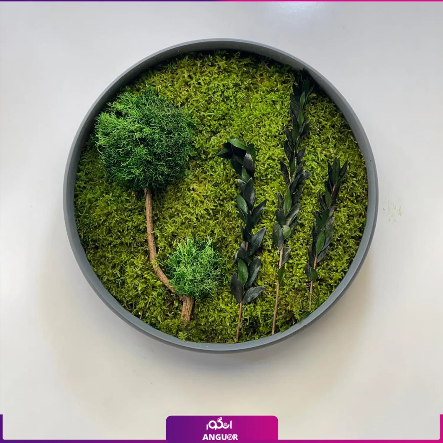 ماس وال گرد خزه — تصویر ۲