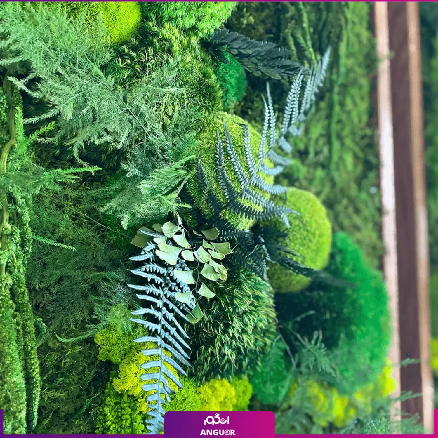 دیوار سبز خزه ای ست دوتایی (ماس وال طبیعی تثبیت شده) — تصویر ۳