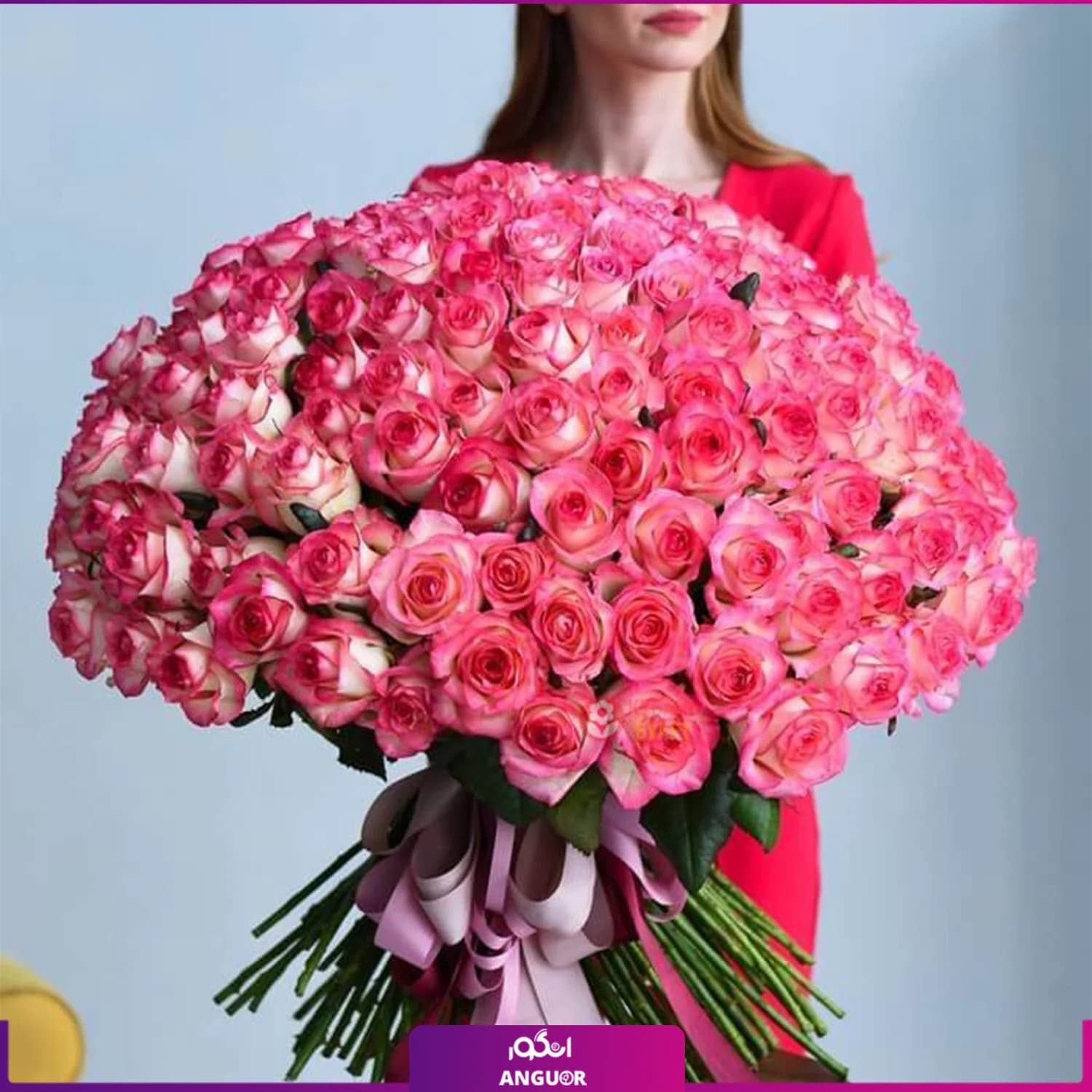 دسته گل بزرگ رز لب‌صورتی دیانا – ۲۰۱ شاخه