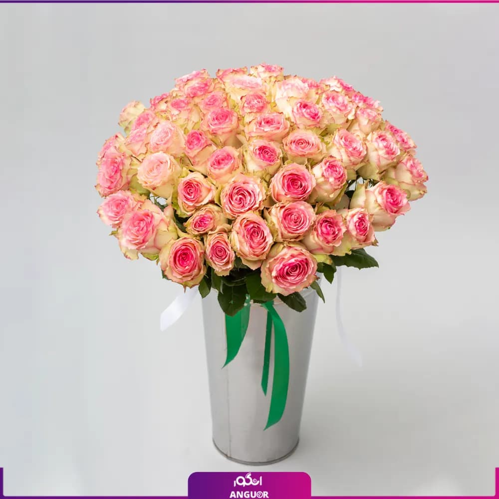 باکس گل رز لب صورتی 53 شاخه