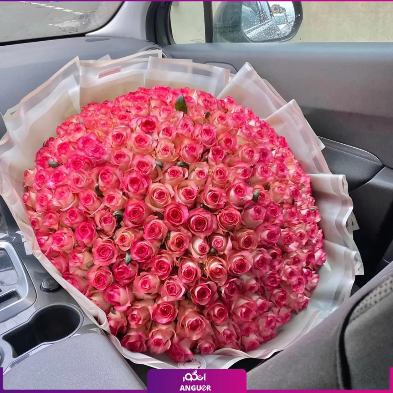 دسته گل رز لب صورتی 160 شاخه