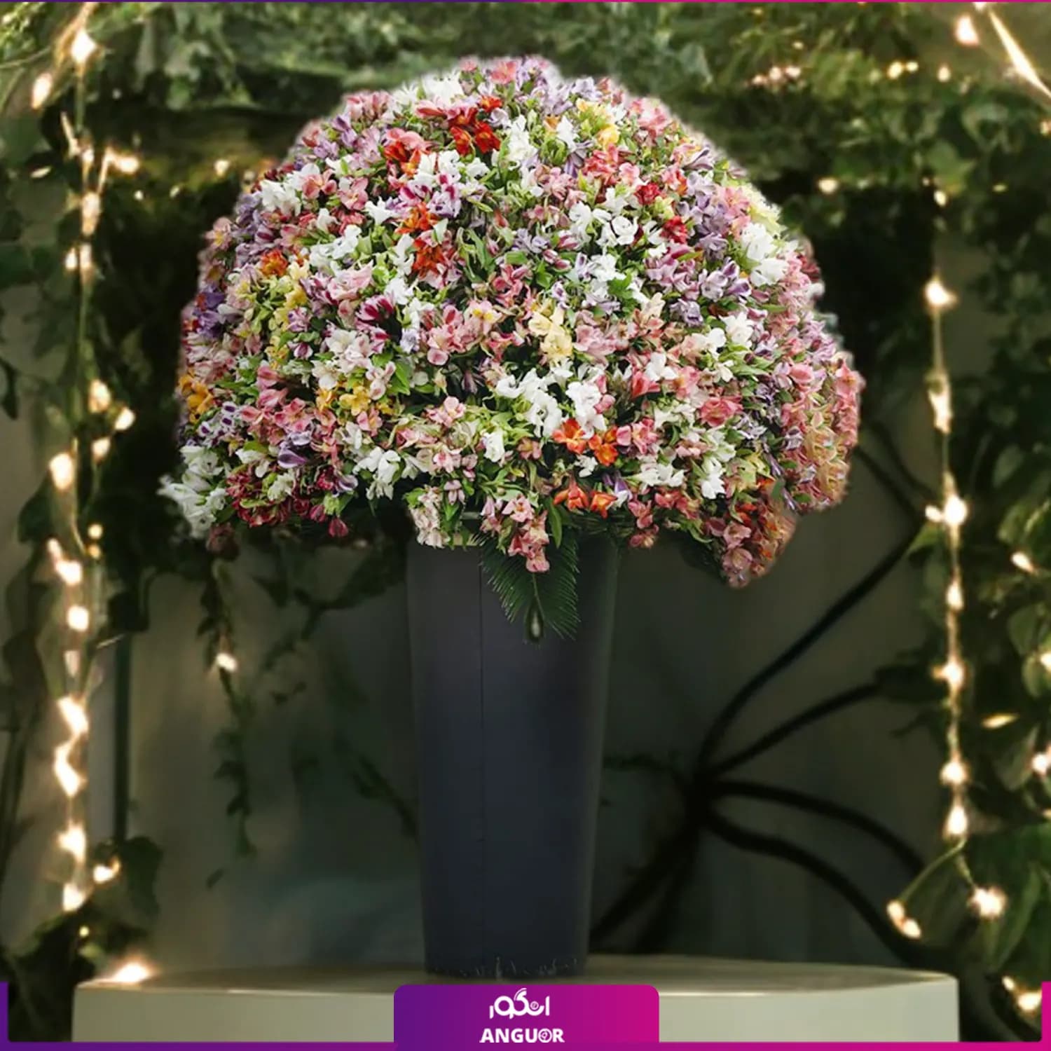 باکس گل آلسترومریا رنگارنگ غول پیکر