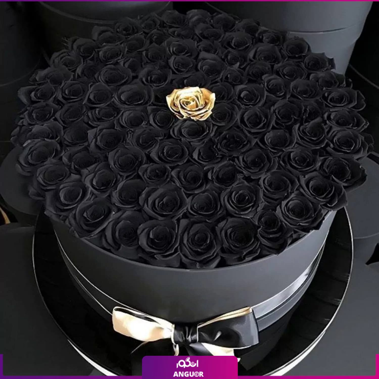 باکس گل رز مشکی با تک گل طلایی
