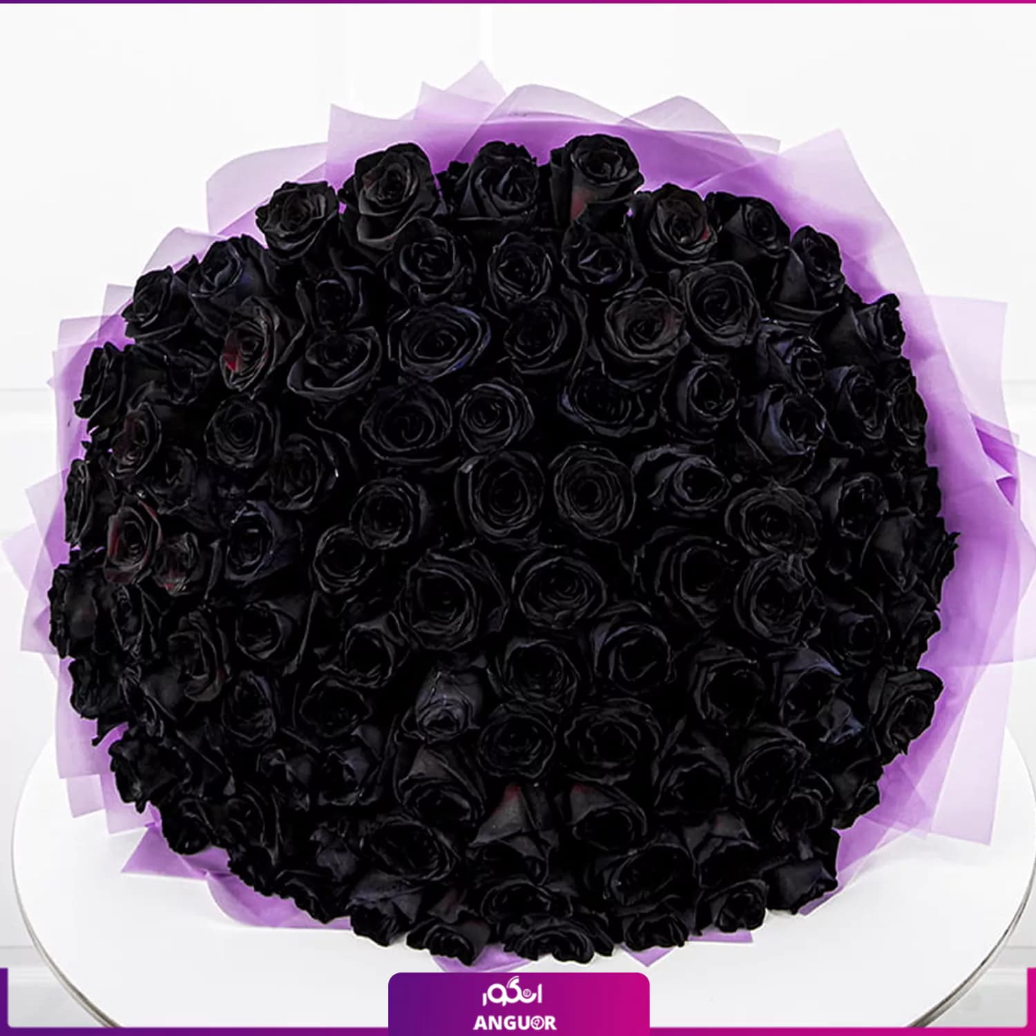 دسته گل بزرگ رز مشکی – ۱۰۱ شاخه