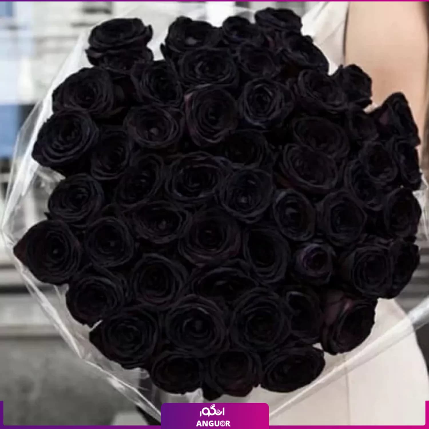 دسته گل رز مشکی 51 شاخه 70 سانتی