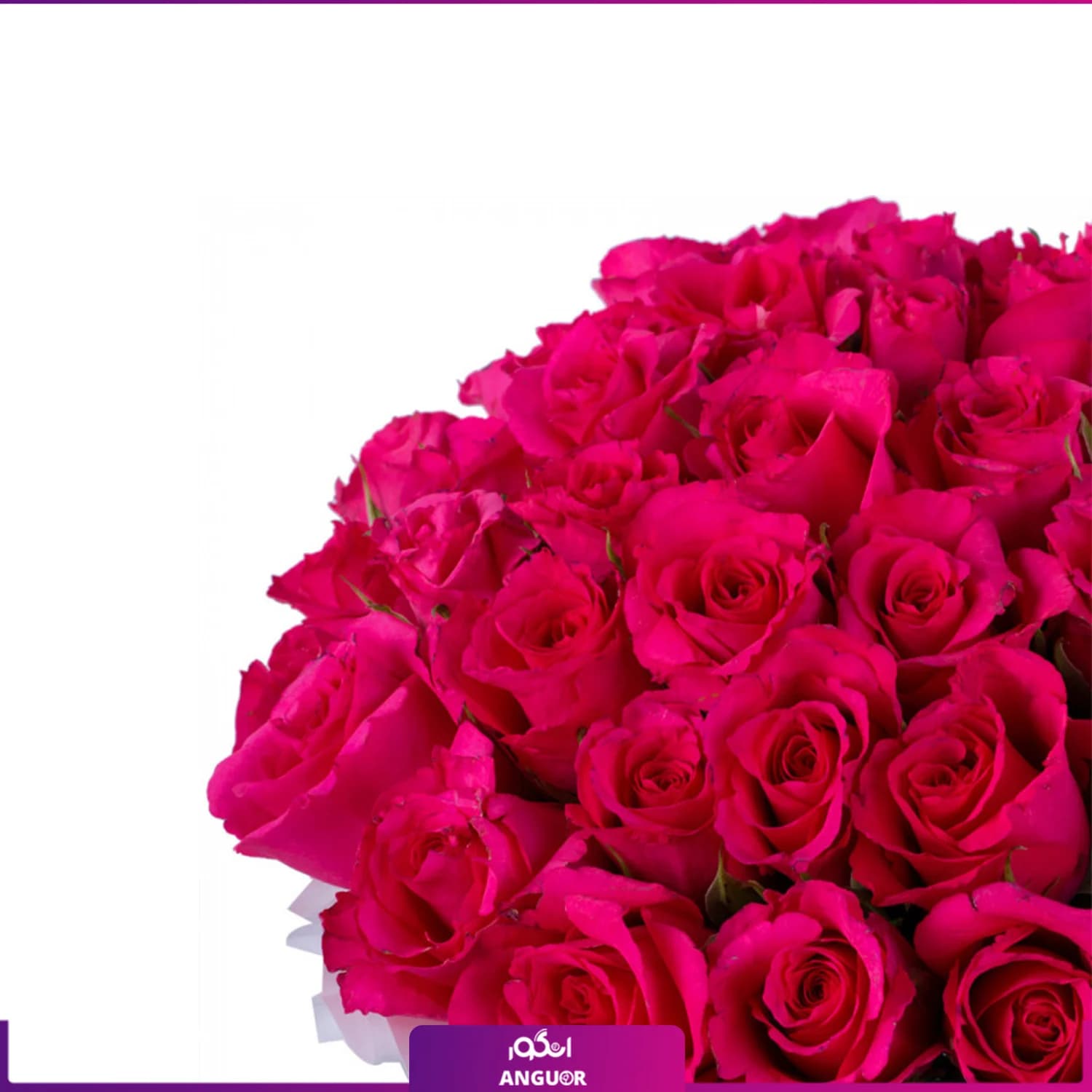 باکس گل رز قرمز 35 شاخه — تصویر ۳