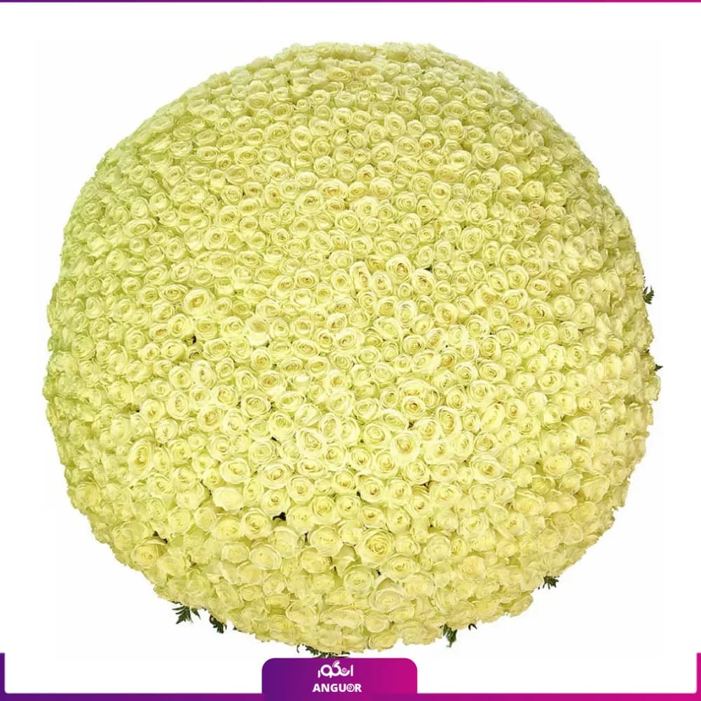 دسته گل رز سفید 1001 شاخه 40 سانتی