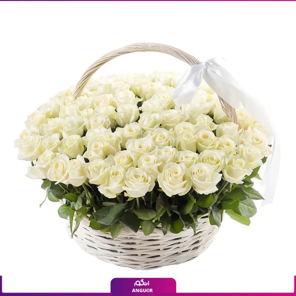 سبد گل رز سفید 101 شاخه 50 سانتی
