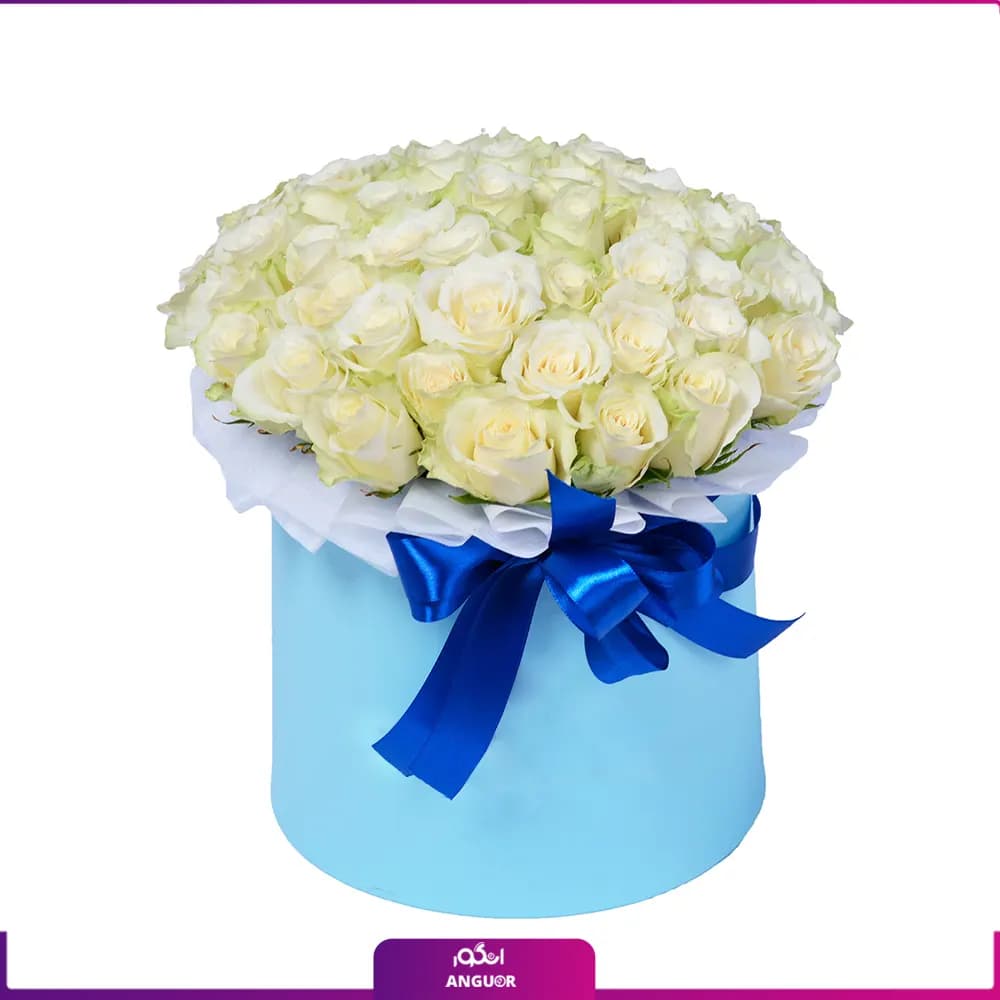 باکس گل رز سفید 51 شاخه 40 سانتی
