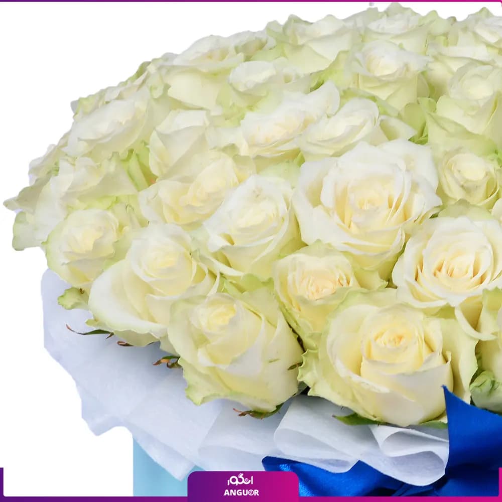 باکس گل رز سفید 51 شاخه 40 سانتی — تصویر ۳