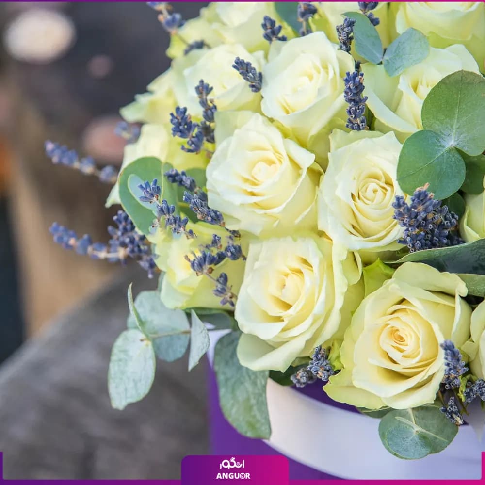 باکس گل رز سفید 35 شاخه — تصویر ۵
