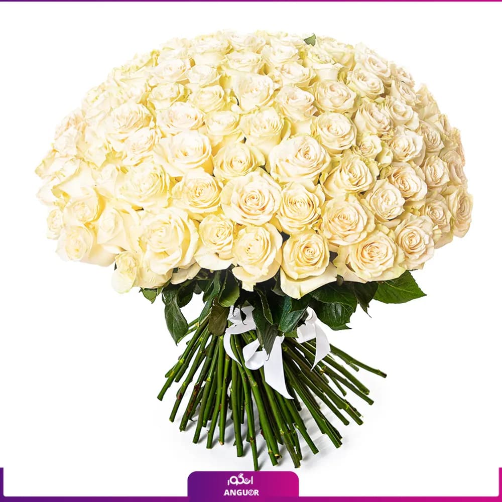 دسته گل رز سفید 101 شاخه 70 سانتی