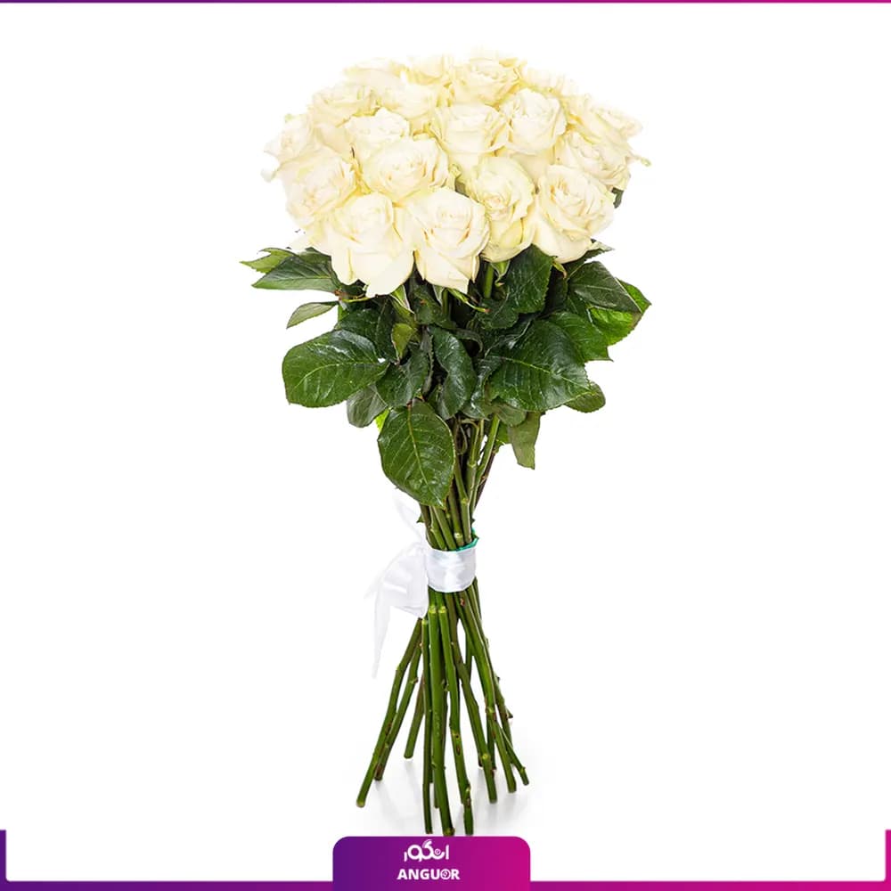 دسته گل رز سفید 19 شاخه 70 سانتی