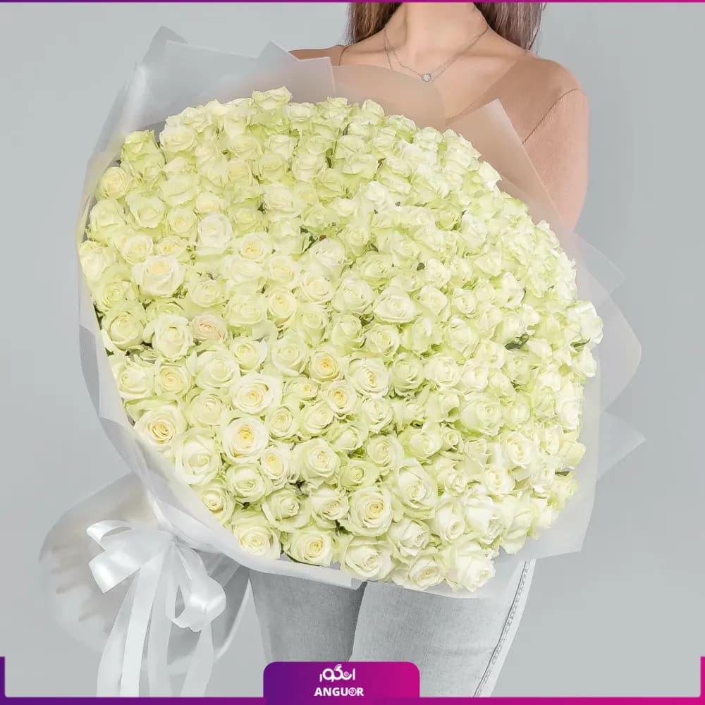 دسته گل بزرگ رز سفید – ۲۰۱ شاخه (ساقه ۷۰ سانتی)
