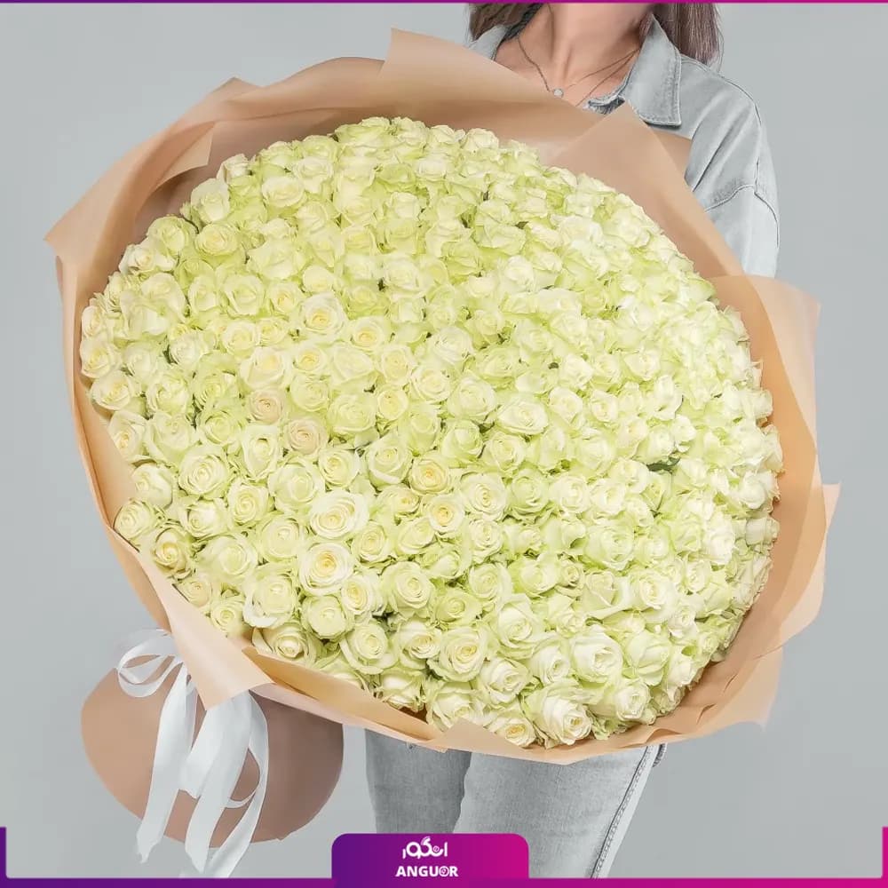 دسته گل رز 251 شاخه 70 سانتی
