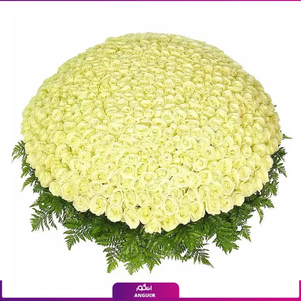 دسته گل رز سفید 1001 شاخه 50 سانتی