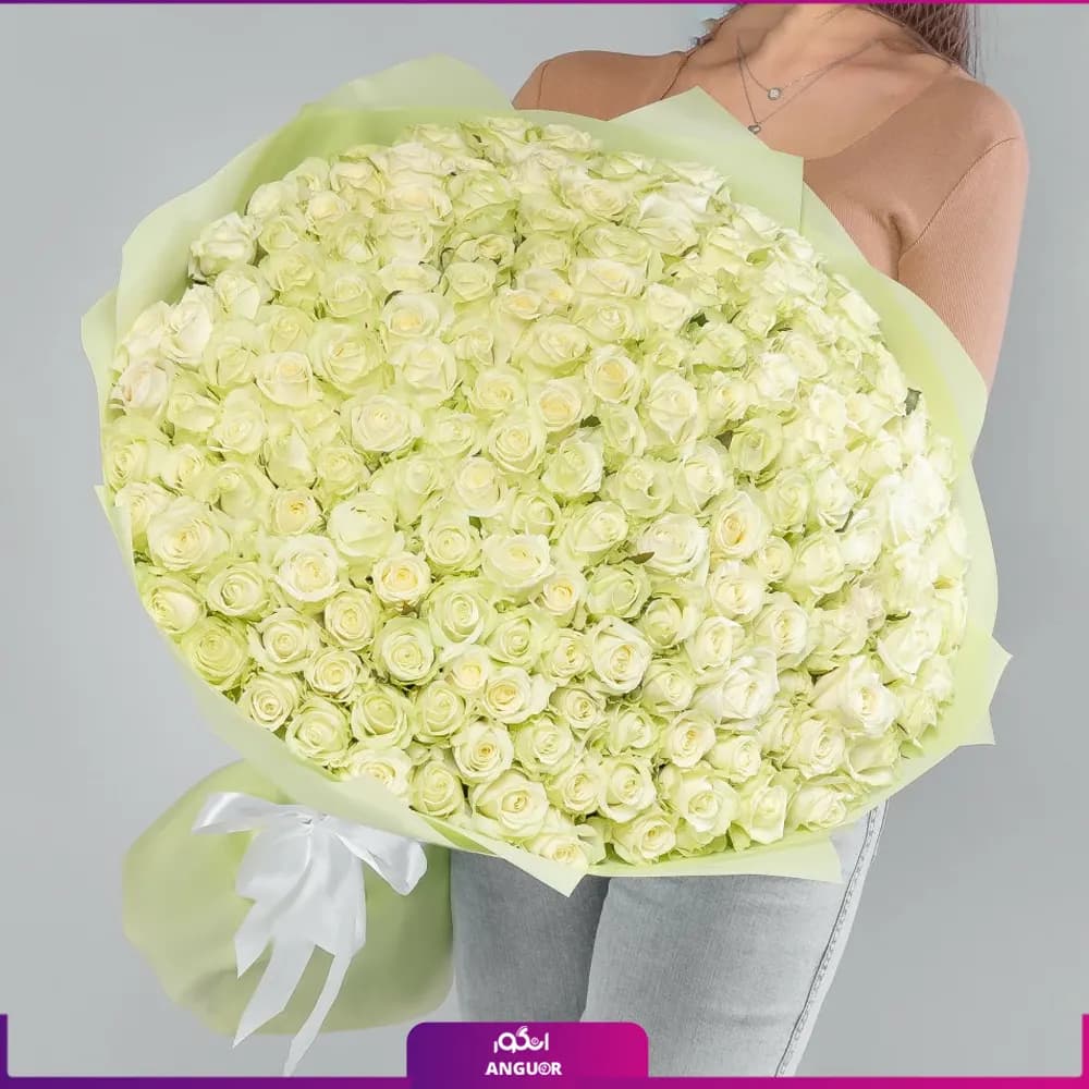دسته گل رز سفید 173 شاخه 70 سانتی