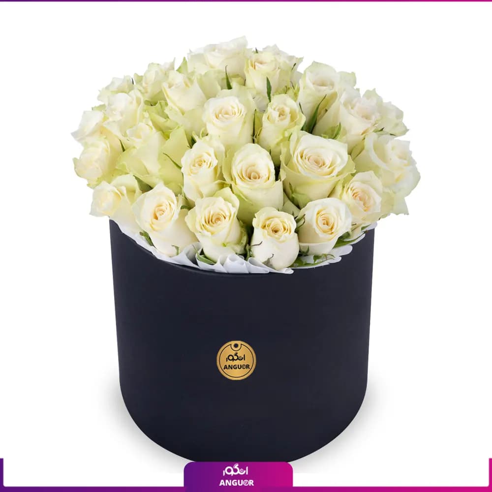 باکس گل رز سفید 25 شاخه 40 سانتی