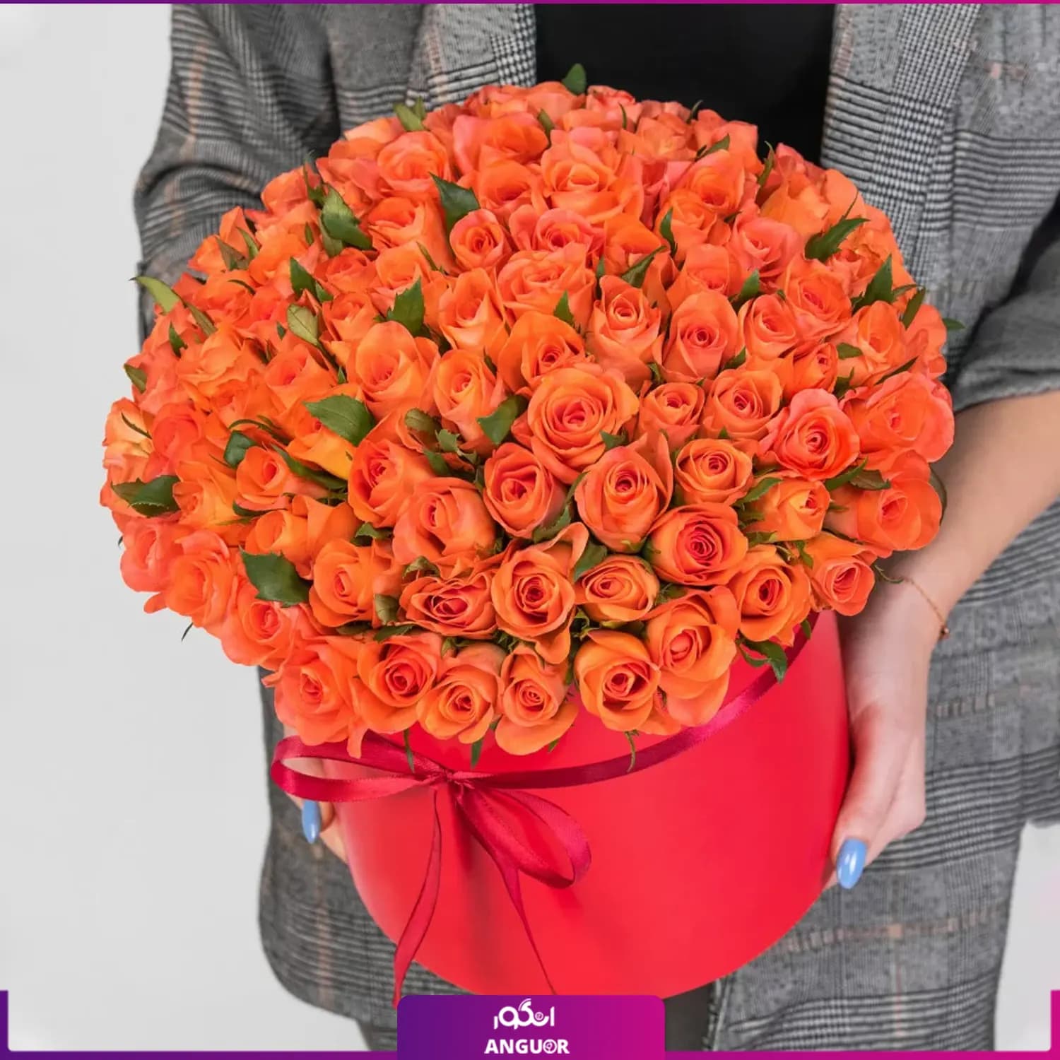 باکس گل رز هایلین — تصویر ۲