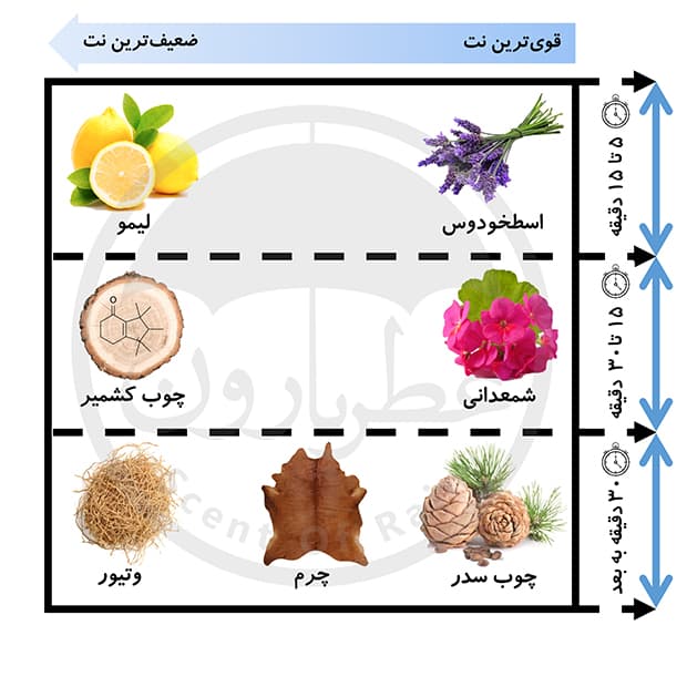 تستر ادوپرفیوم مردانه فراست لجند حجم 100 میلی‌لیتر — تصویر ۵