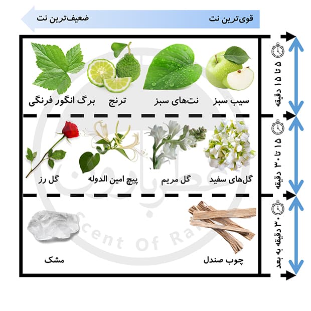 ادوپرفیوم زنانه عمادآرا مموریز حجم 100 میلیلیتر — تصویر ۲