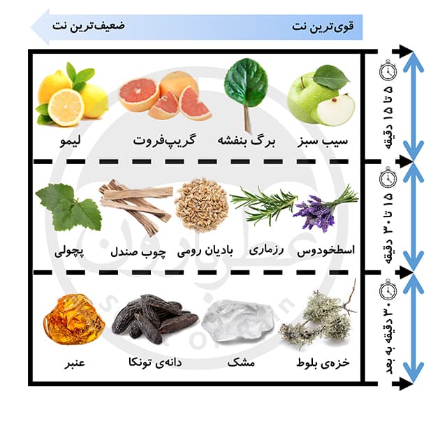 ادوتویلت مردانه عمادآرا جنسیس حجم 100 میلی‌لیتر — تصویر ۴