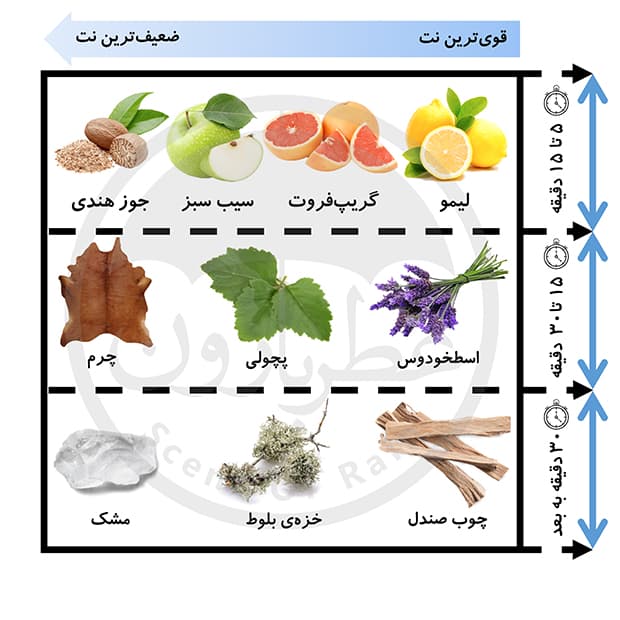 عطر بدن مردانه عمادآرا ادرس حجم 250 میلی‌لیتر — تصویر ۲