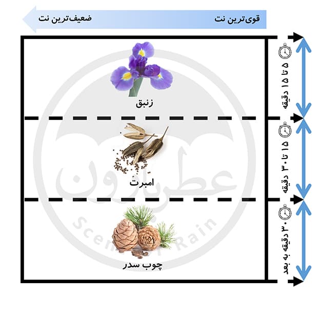 ادوپرفیوم مردانه گرنویل فول مون حجم 100 میلی‌لیتر — تصویر ۲