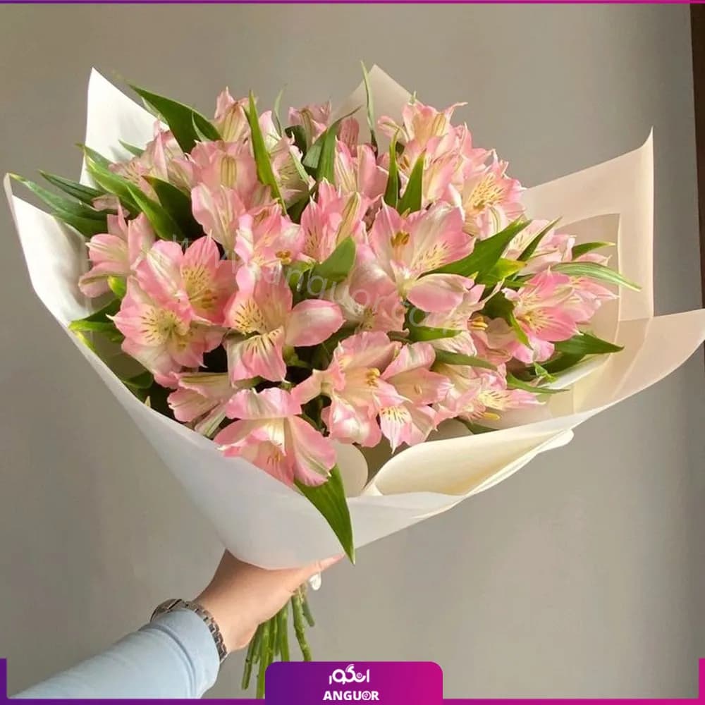 دسته گل 8 شاخه آلسترومریای صورتی