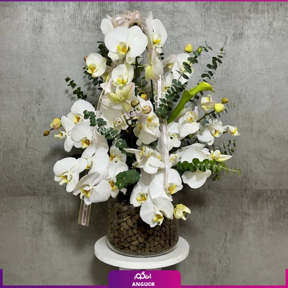 جار گل ارکیده سفید — تصویر ۲