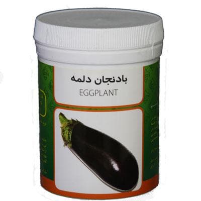 بذر بادمجان دلمه رامان — تصویر ۲