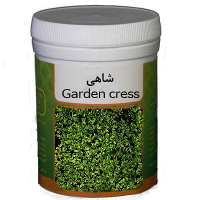بذر شاهی رامان — تصویر ۲
