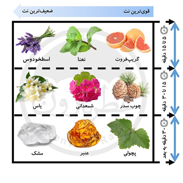 ادوپرفیوم مردانه ورسای اکسکلوسیو من حجم 100 میلی‌لیتر — تصویر ۵
