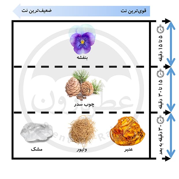 ادوپرفیوم مردانه ورسای شاتگان حجم 100 میلیلیتر — تصویر ۶