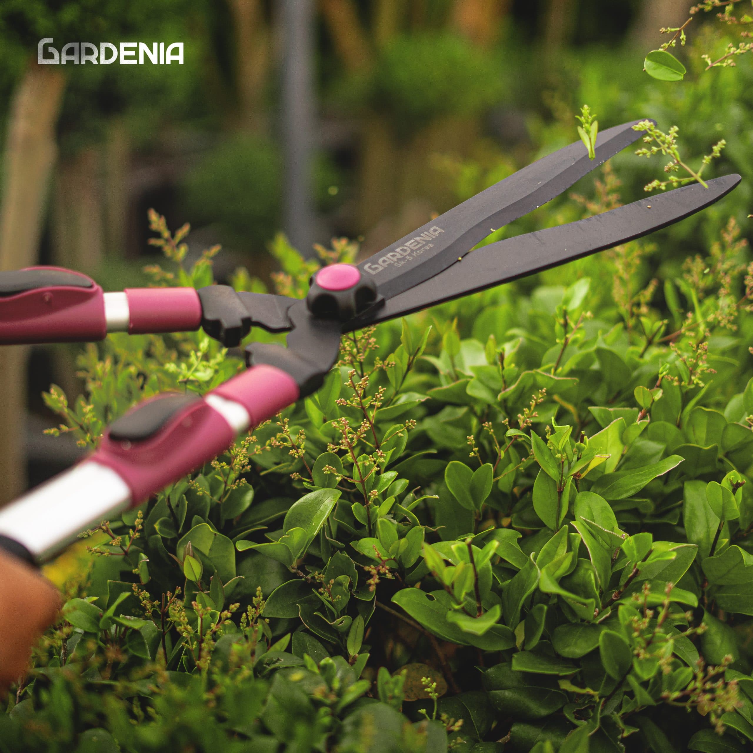 قیچی شمشاد زن دسته تلسکوپی گاردنیا Gardenia مدل GH-5221 — تصویر ۷
