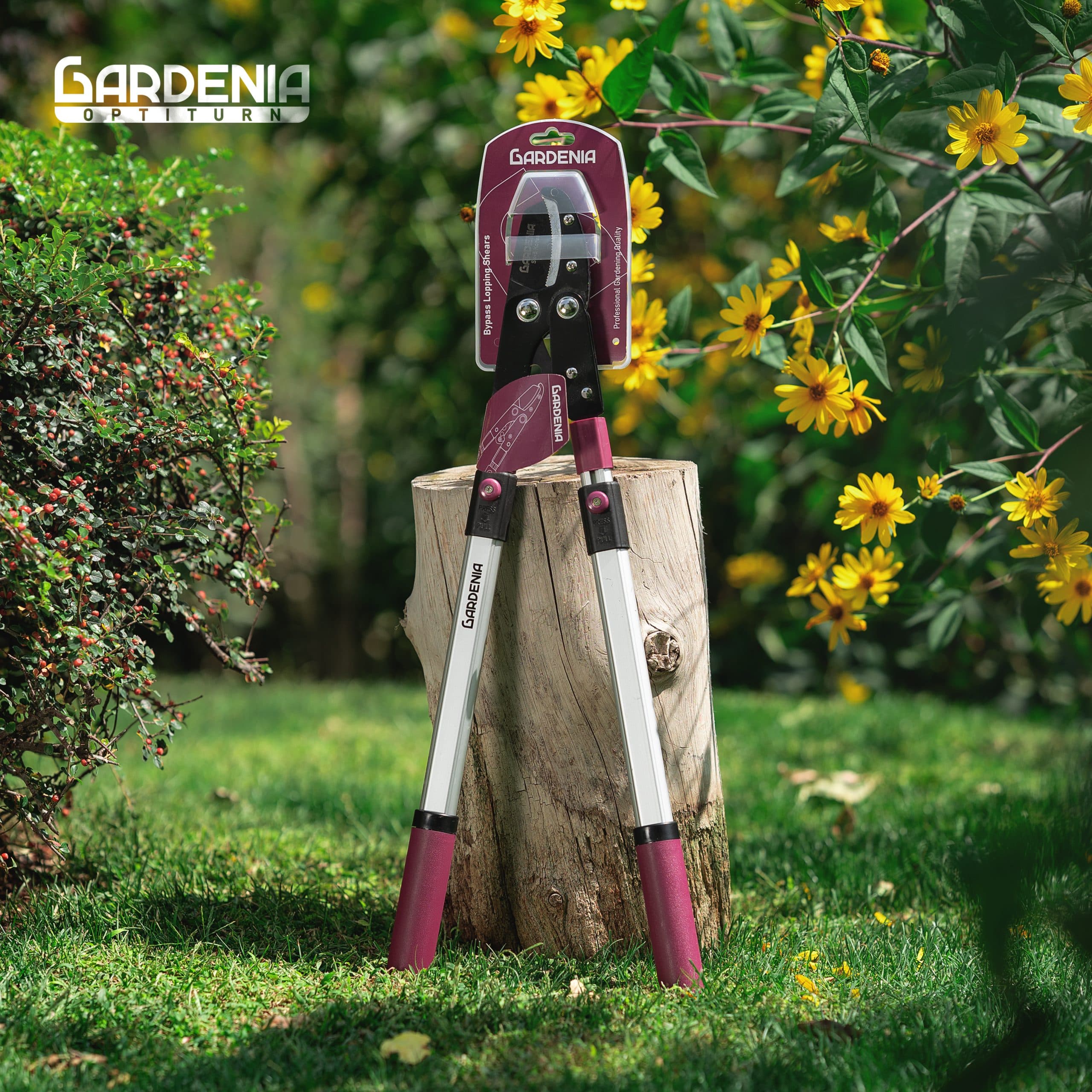 قیچی شاخه زن دسته تلسکوپی گاردنیا Gardenia مدل GH-5211 — تصویر ۷