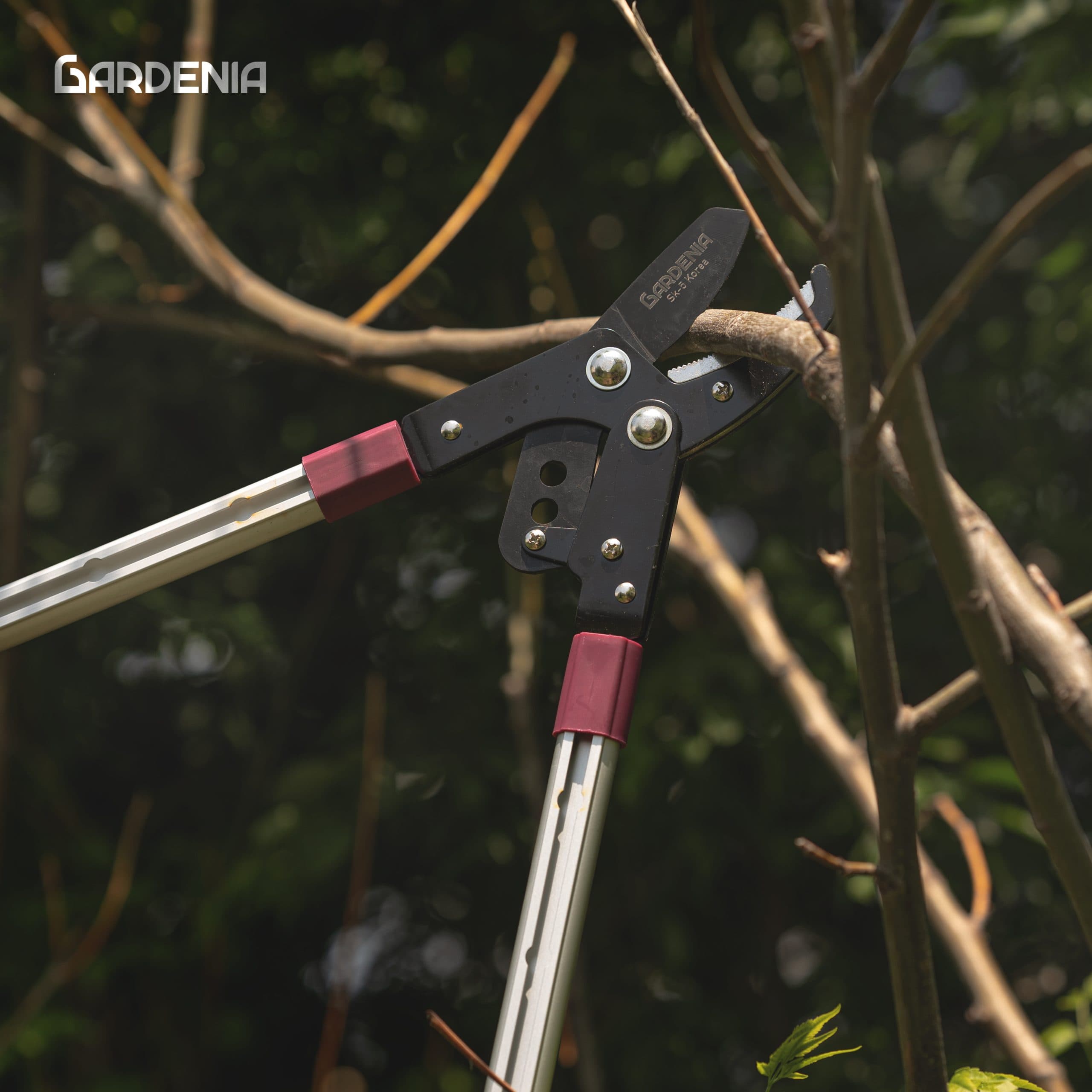 قیچی شاخه زن دسته تلسکوپی گاردنیا Gardenia مدل GH-5211 — تصویر ۶