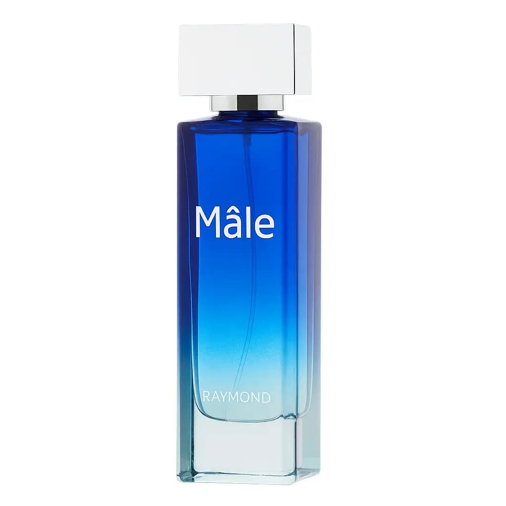 ادکلن مردانه MALE رایموند 100 میل با الهام از رایحه اینوکتوس