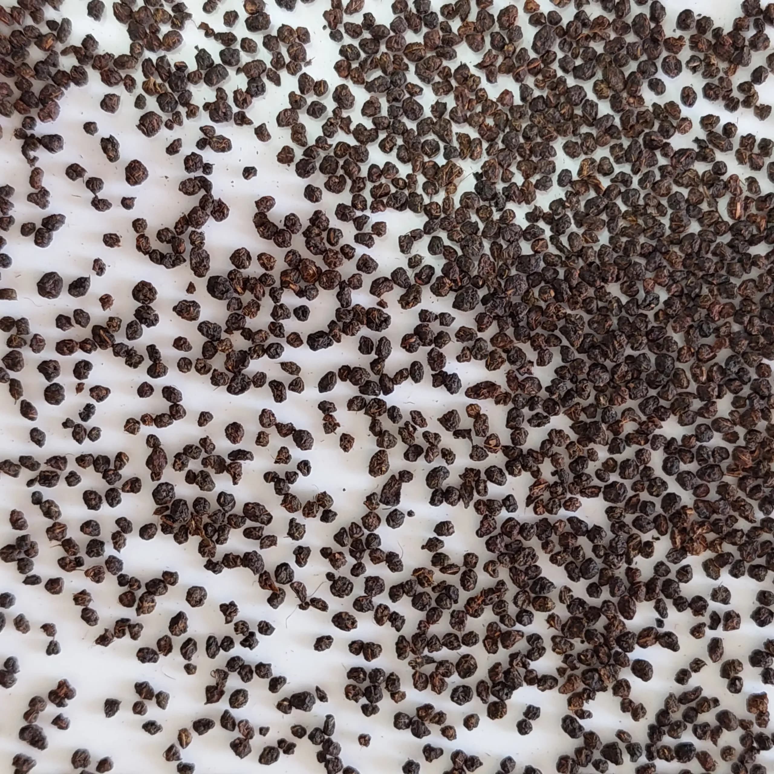 چای کله مورچه ساده ctc — تصویر ۹