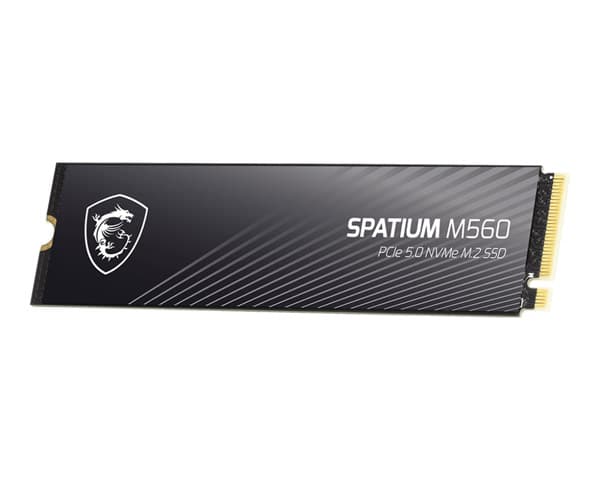 حافظه اس اس دی ام اس آی مدل Spatium M560 1TB — تصویر ۶