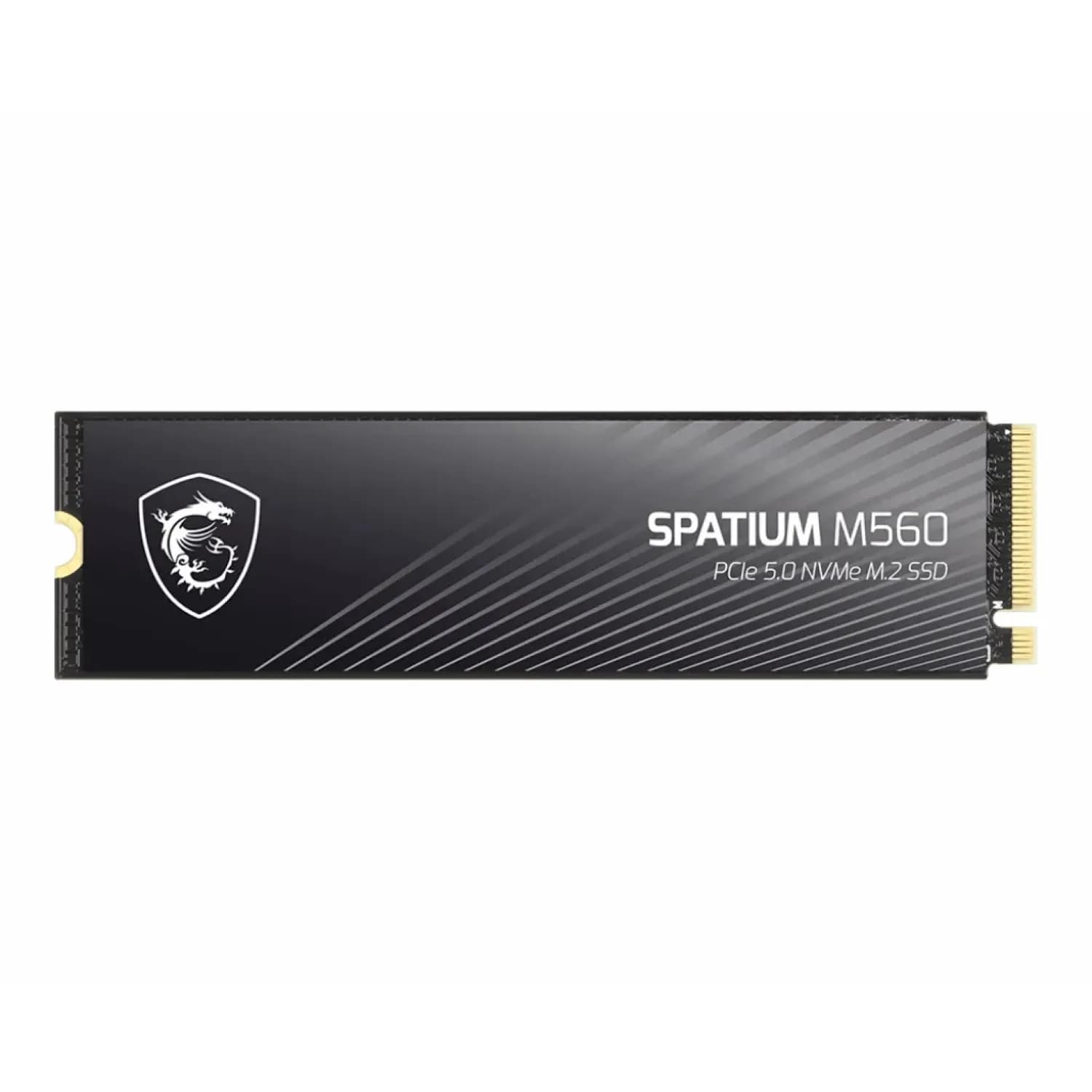 حافظه اس اس دی ام اس آی مدل Spatium M560 1TB — تصویر ۱۱