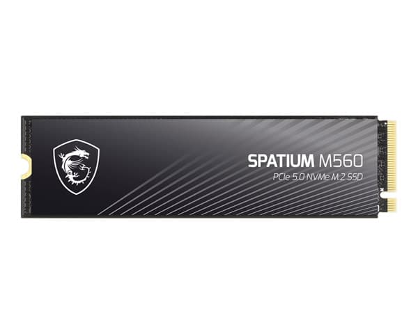 حافظه اس اس دی ام اس آی مدل Spatium M560 1TB — تصویر ۷