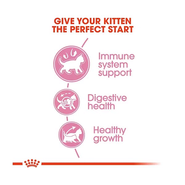 غذای خشک رویال کنین کیتن ۴۰۰ گرمی (Kitten) — تصویر ۱۰