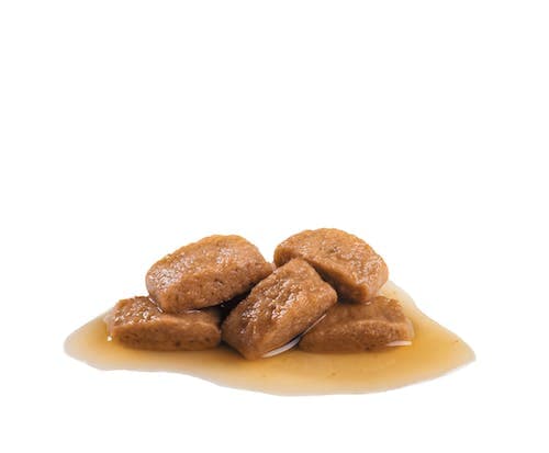 پوچ سگ رویال کنین مدل Maxi Adult وزن 140 گرم — تصویر ۳