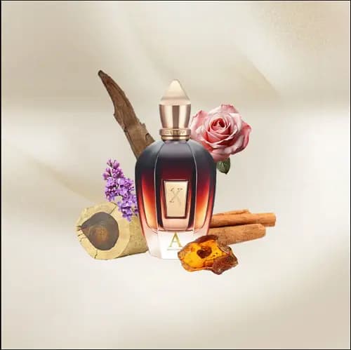 عطر الکساندریا 2 زرجف-زرژاف | Xerjoff Alexandria II — تصویر ۱۲