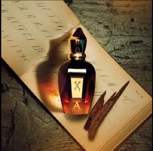 عطر الکساندریا 2 زرجف-زرژاف | Xerjoff Alexandria II — تصویر ۶
