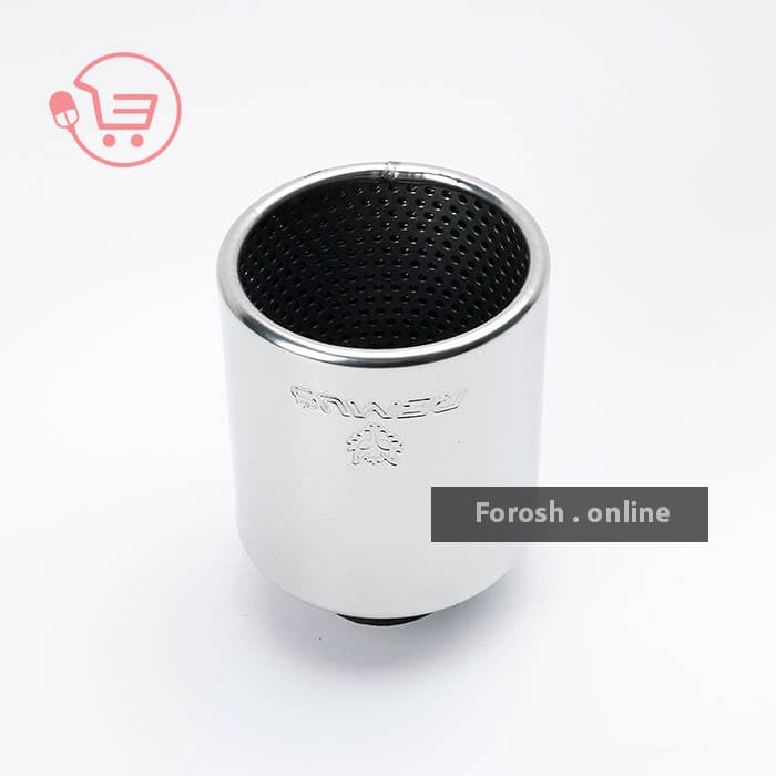 سر اگزوز ریموس بیضی — تصویر ۹