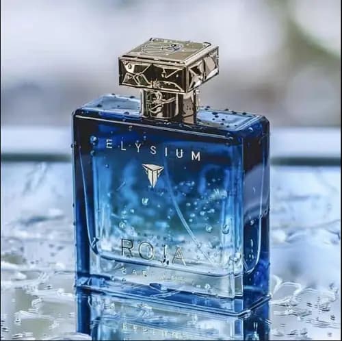عطر روژا داو الیزیوم پور هوم پارفوم کلون | Roja Dove Elysium Pour Homme Parfum Cologne — تصویر ۱۲